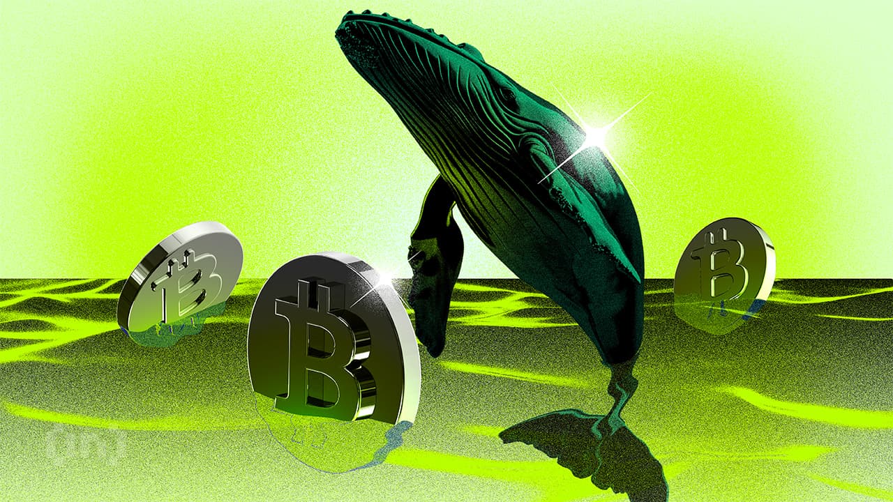 Bitcoin Kitlarining Eng Ko&#8217;p To&#8217;planishi, Kichik Egalar Sotishga O&#8217;tmoqda