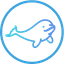coinImage