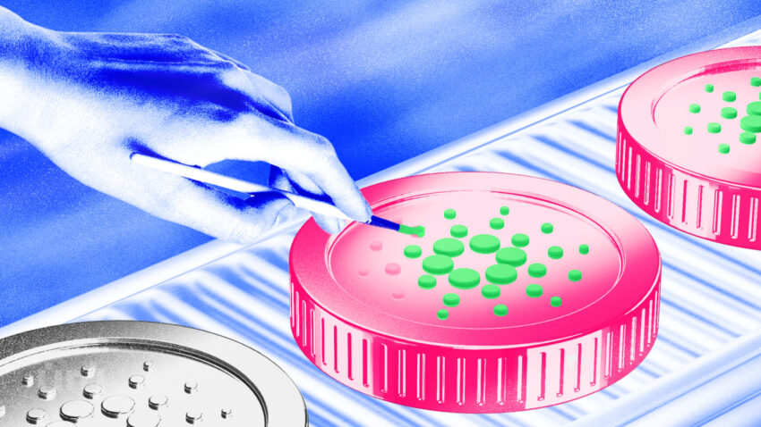 Cardano kitlarining to’planishi 420 million ADA ga yetdi, hatto narx o’sishni amalga oshira olmadi