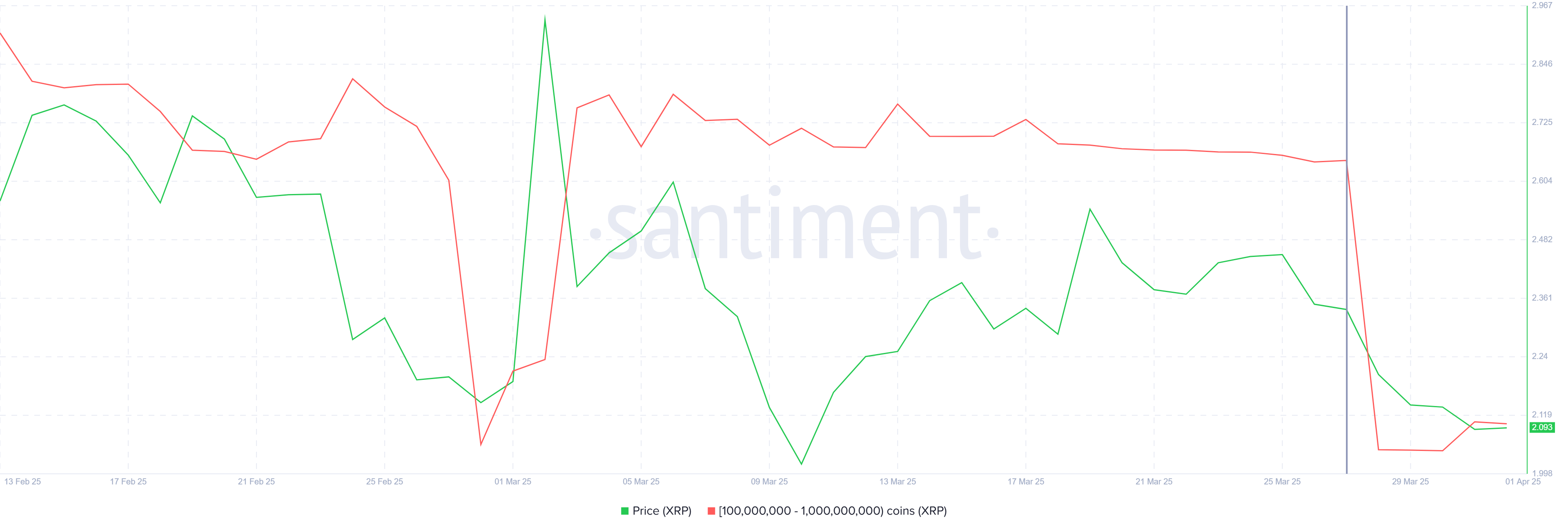 XRP Whale Holdings