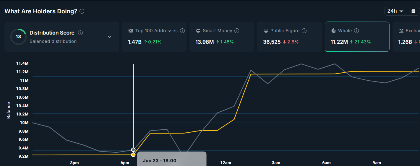 AERO Katta Investor Faoliyati.