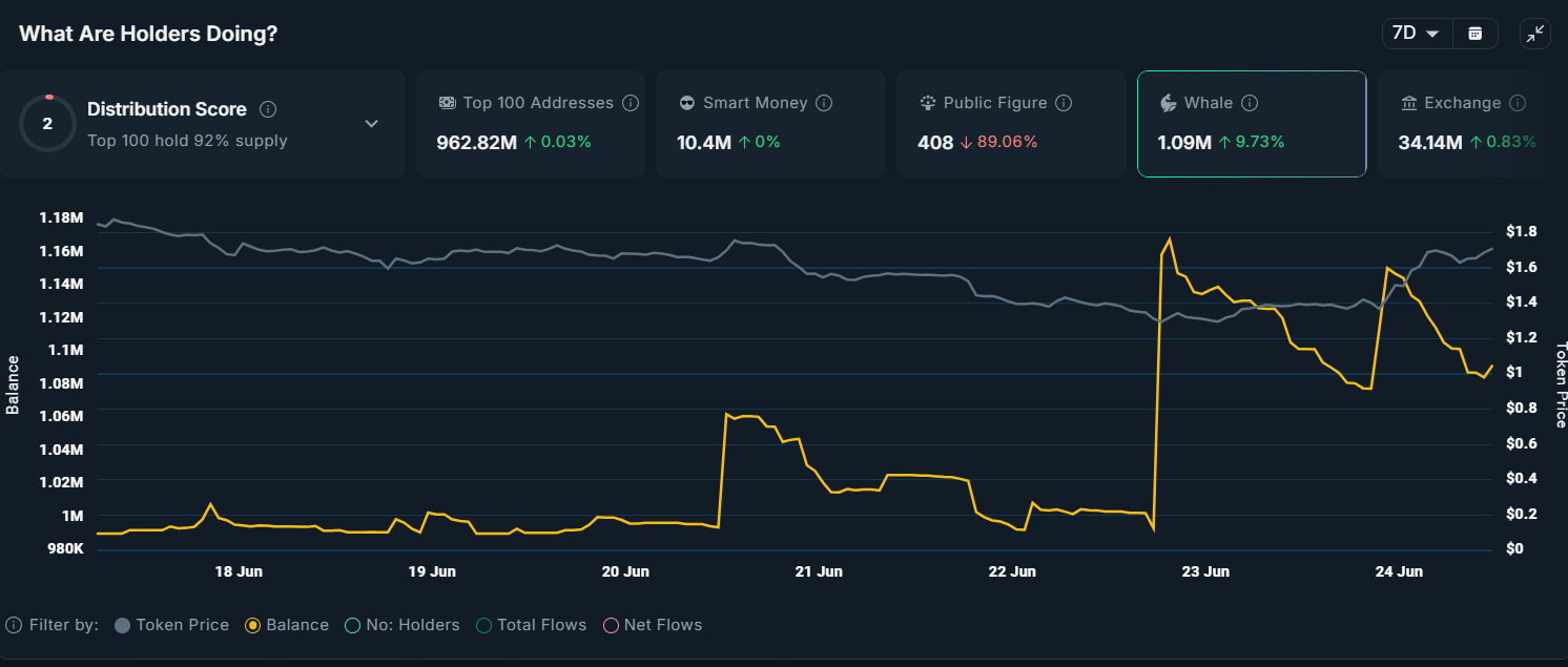 VIRTUAL Katta Investor Faoliyati