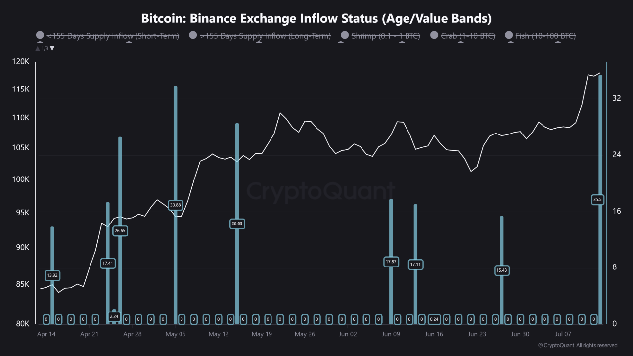 Binance Birjasiga Oqim Holati. Manba: CryptoQuant.