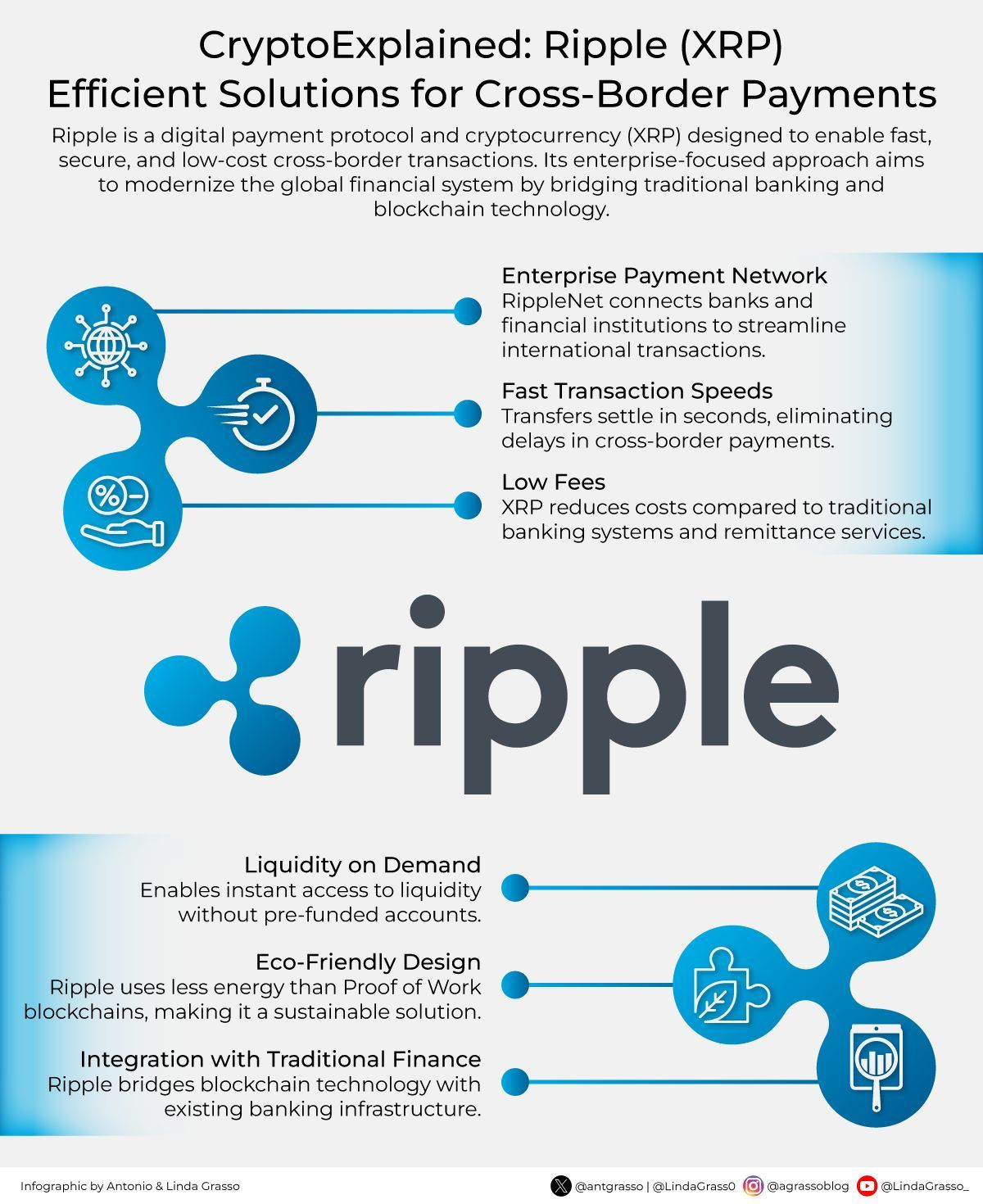 ripple ekotizimi tushuntirilgan
